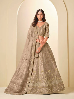 Beige Art Silk Ornate Panel Lehenga Choli