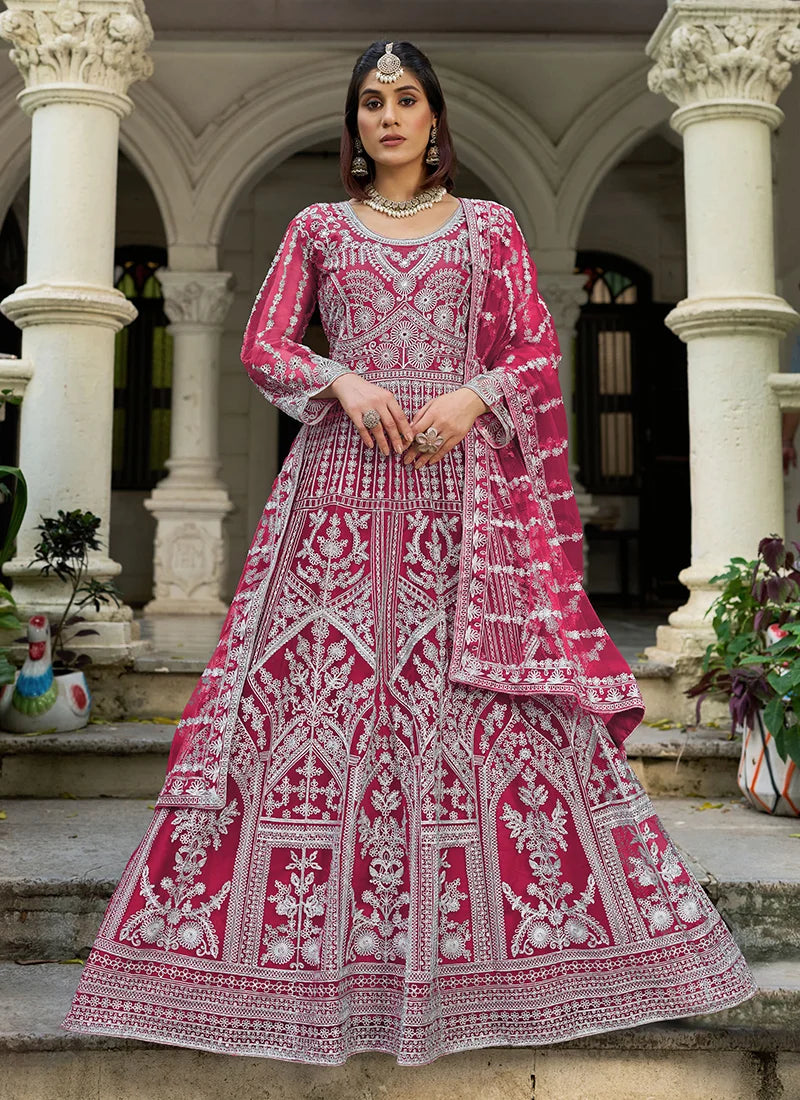 Rani Pink Net Anarkali with Arch Panel Embroidery, styled on model