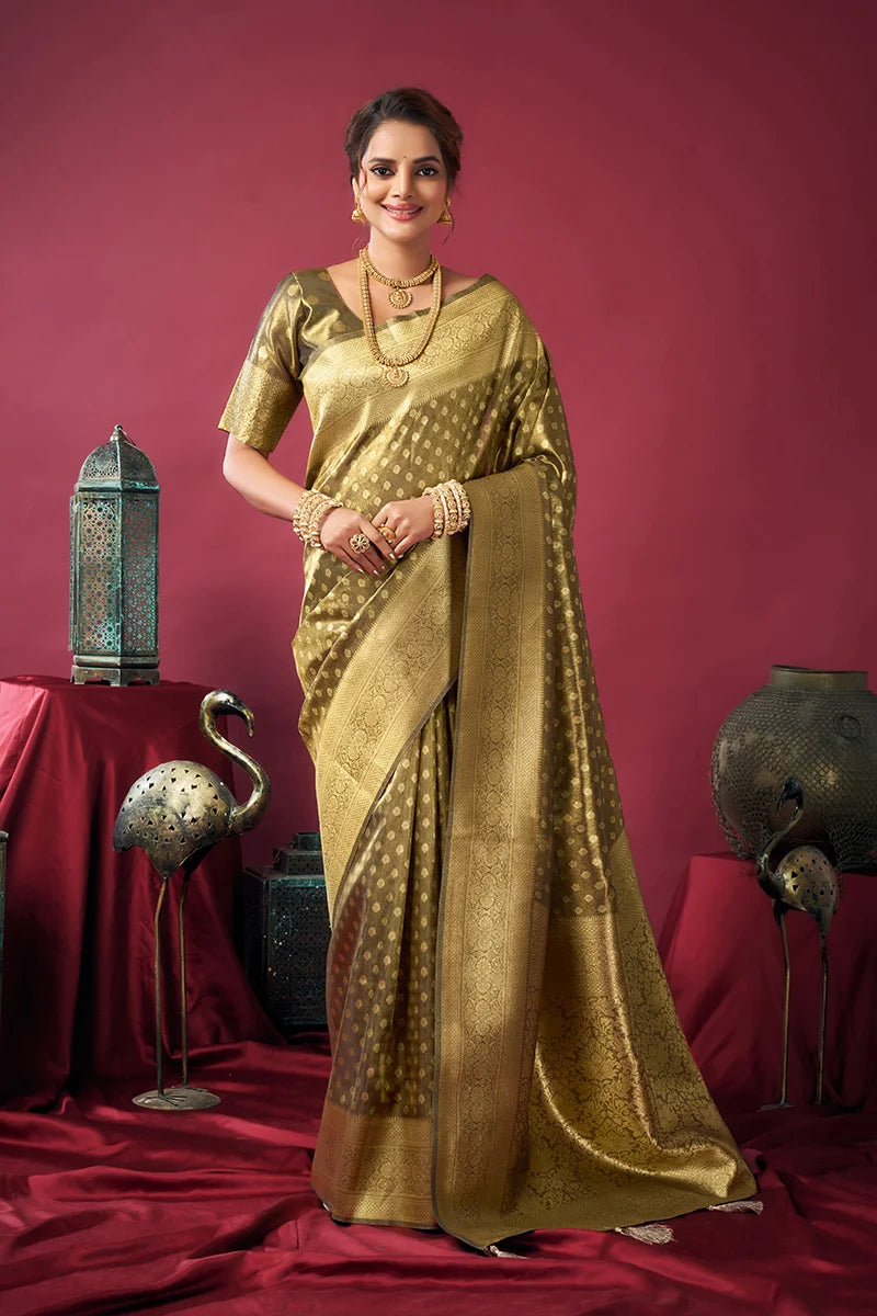 Olive Tissue Saree with All-Over Zari Weave, front