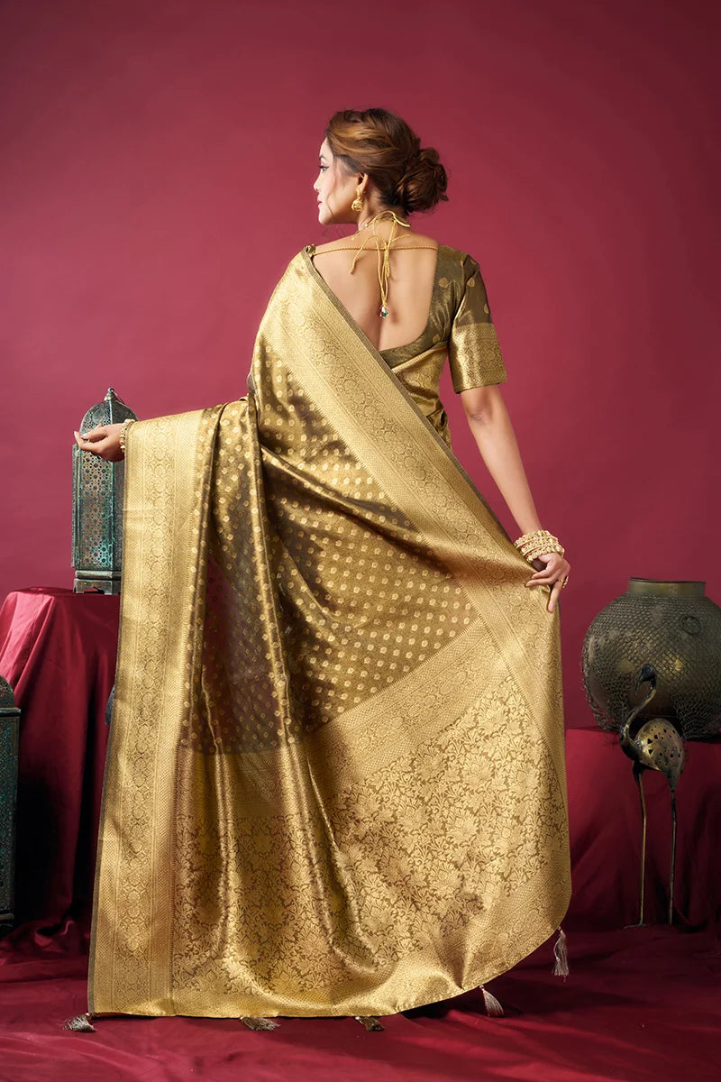 Olive Tissue Saree with All-Over Zari Weave, back with pallu