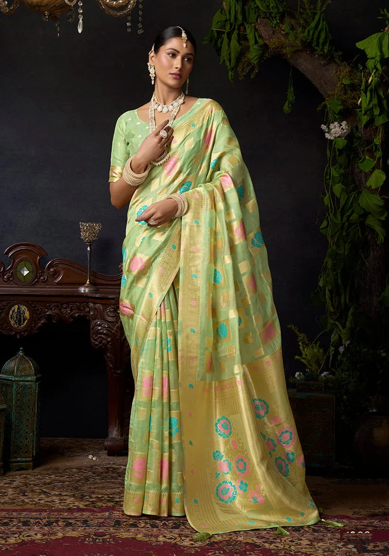 Light Green Organza Saree with Zari Checks and Florals, front