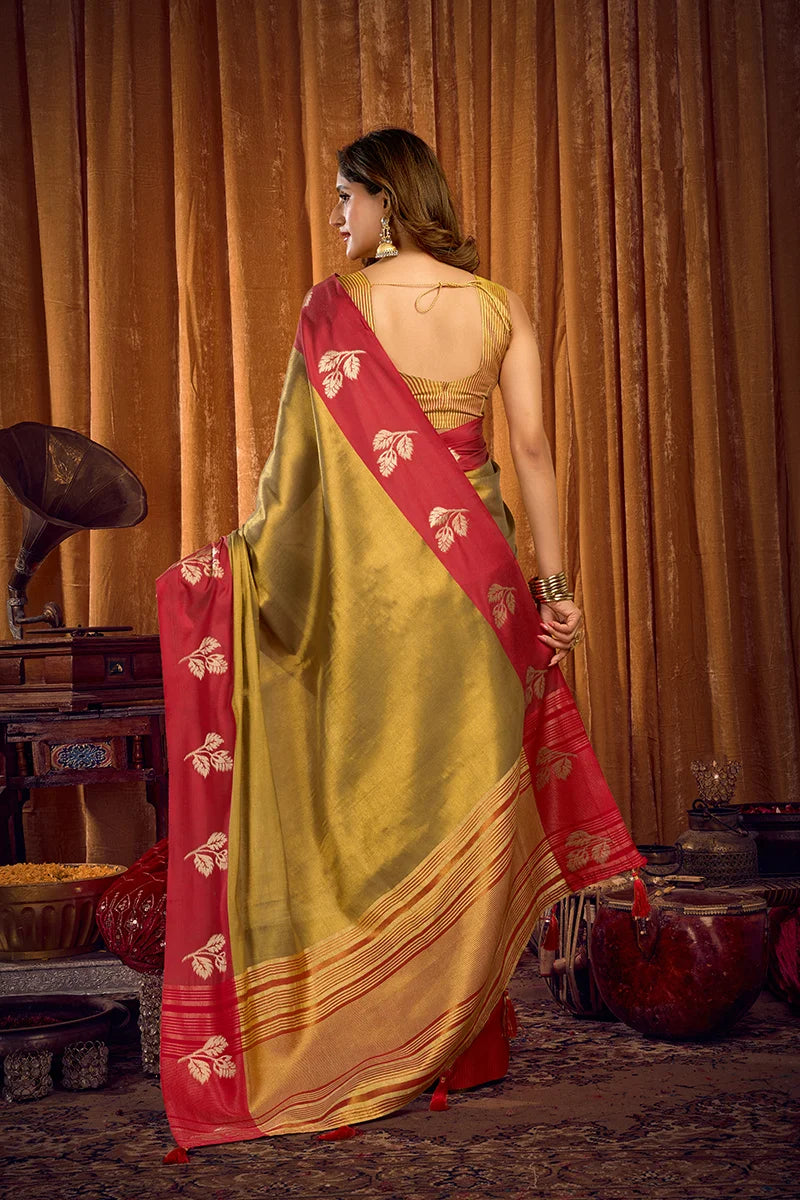Olive Tissue Saree with Contrast Zari Border, back with pallu