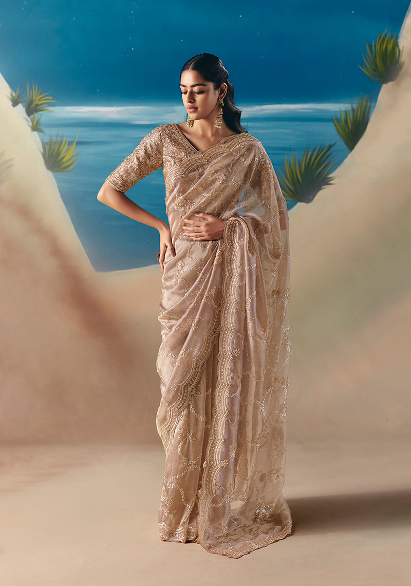 Beige Premium Fancy Fabric With Designer Embroidery Sequence Work Saree
