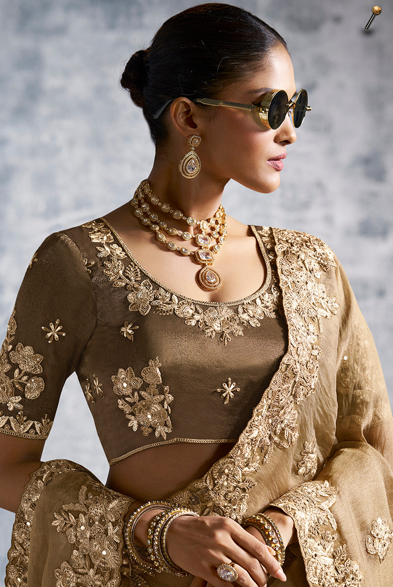 Beige Tissue Traditional Saree with Embroidered, Resham and Thread Work for Ceremonial