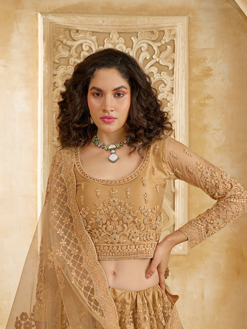 Chiku Net Designer Lehenga Choli with Embroidered Work for Women