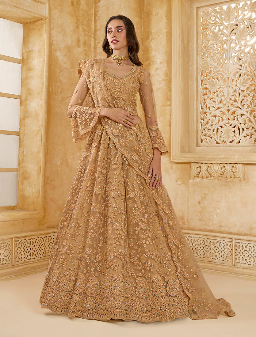 Chiku Net Lehenga Choli With Embroidery Work For Festival