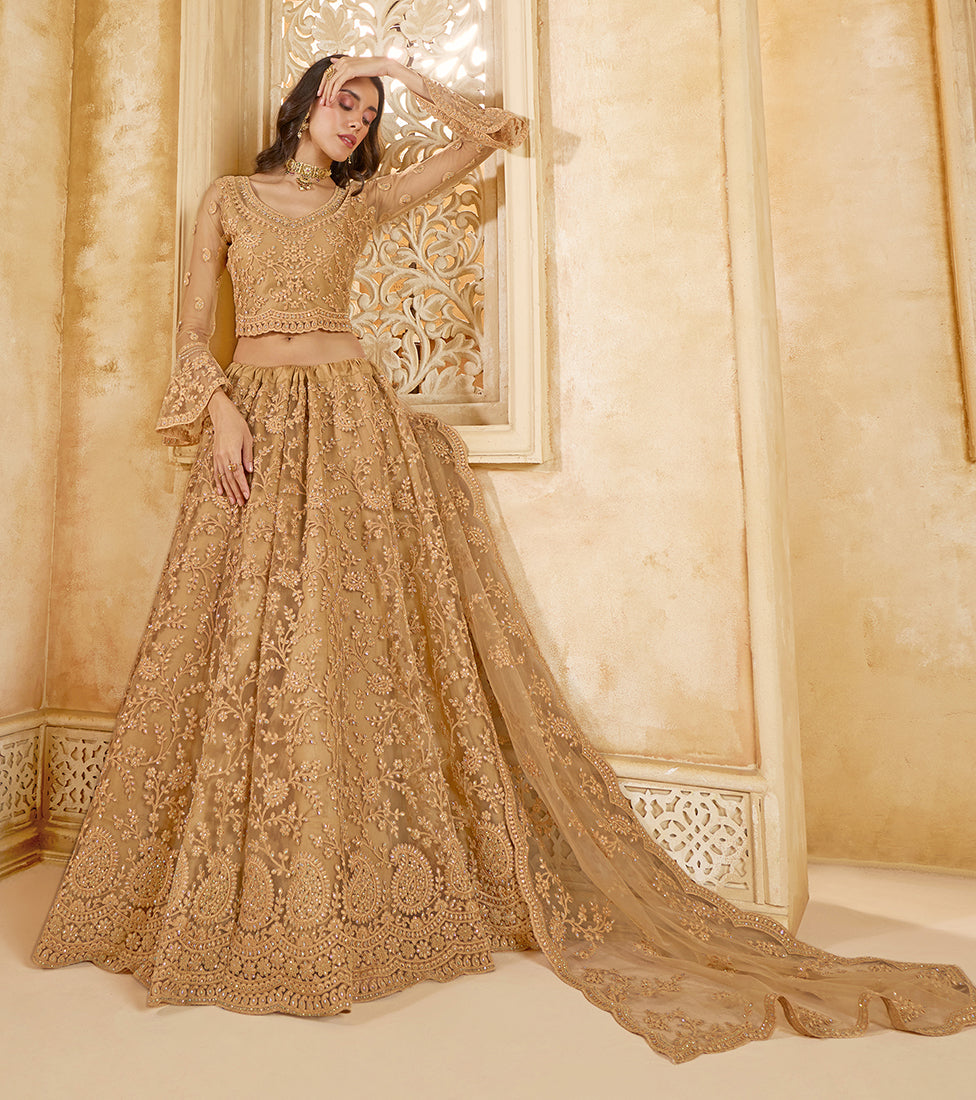 Chiku Net Lehenga Choli With Embroidery Work For Festival