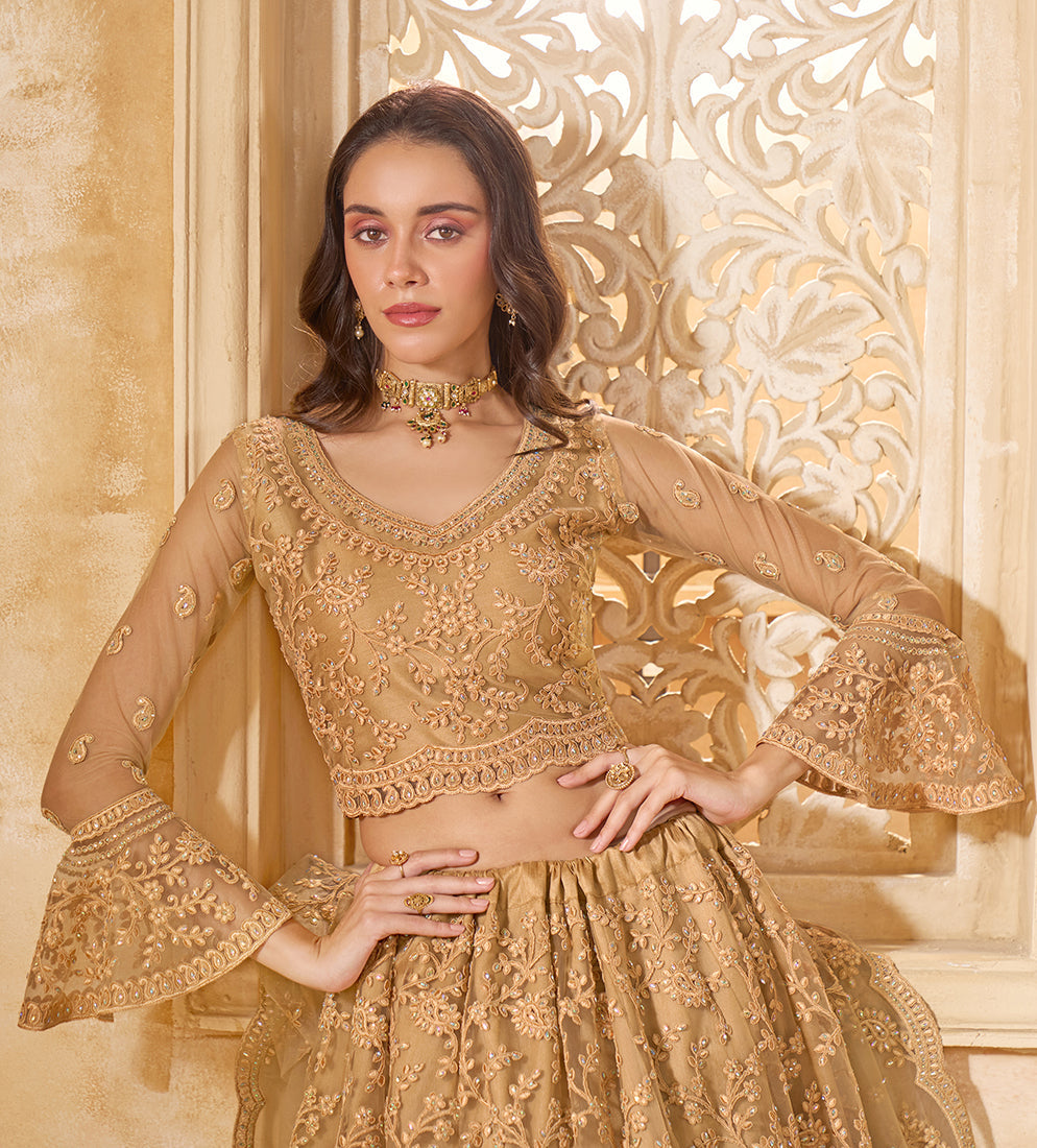 Chiku Net Lehenga Choli With Embroidery Work For Festival