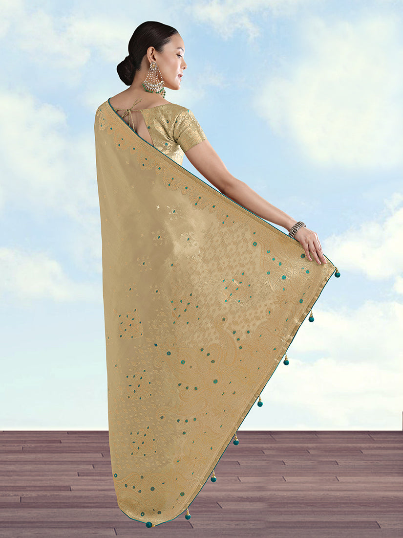 Cream Tissue Silk Saree with Zari Paisley Pallu, back with pallu