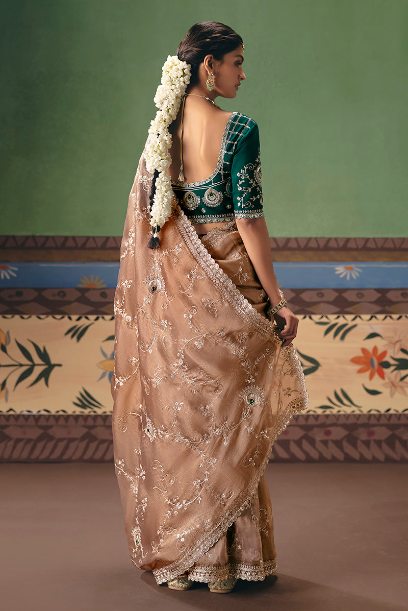 Beige Fancy Fabric Embroidered Saree - Monjolika Fashion