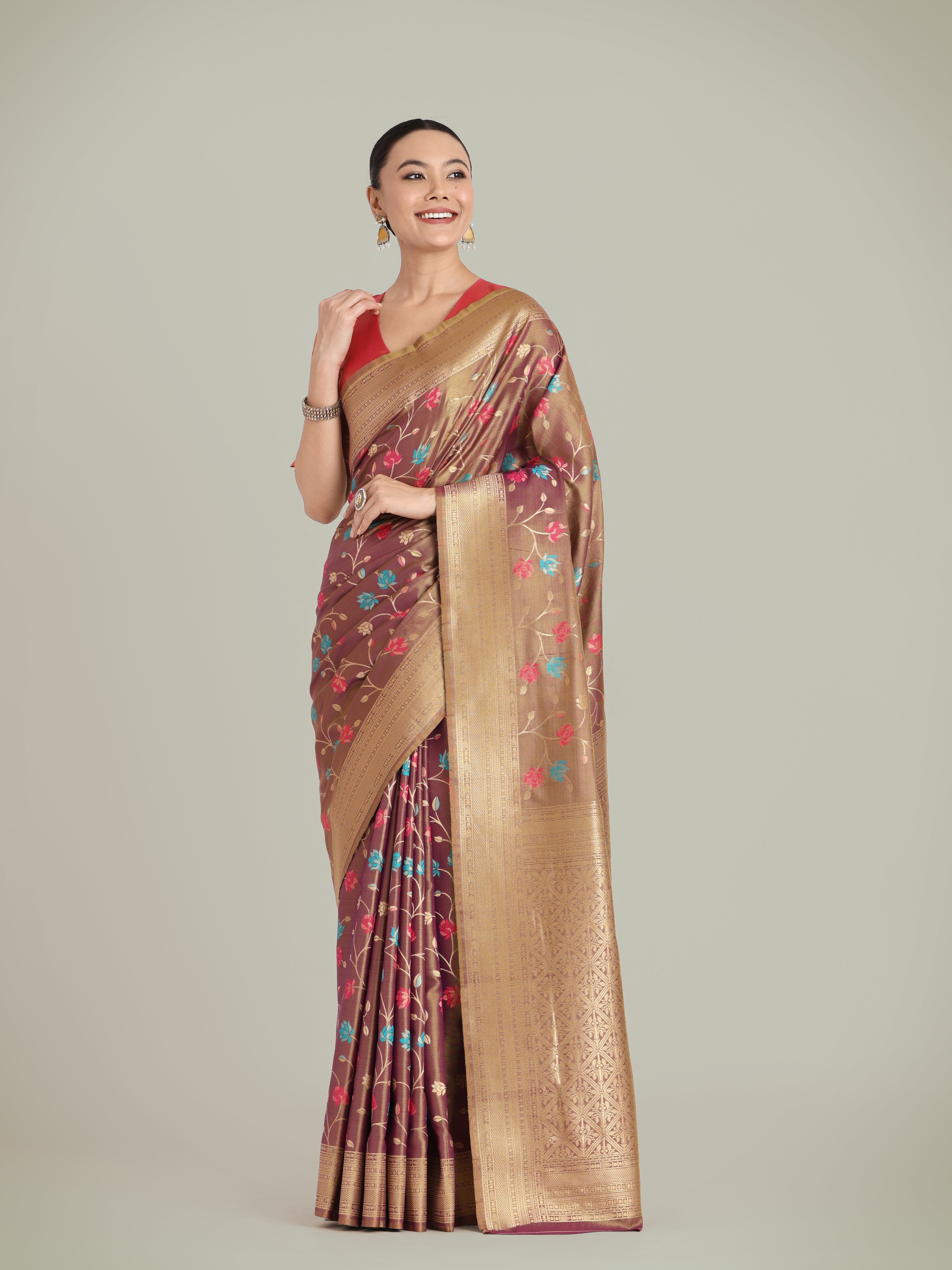 Light Brown Banarasi Tissue silk Exquisite Designs Saree