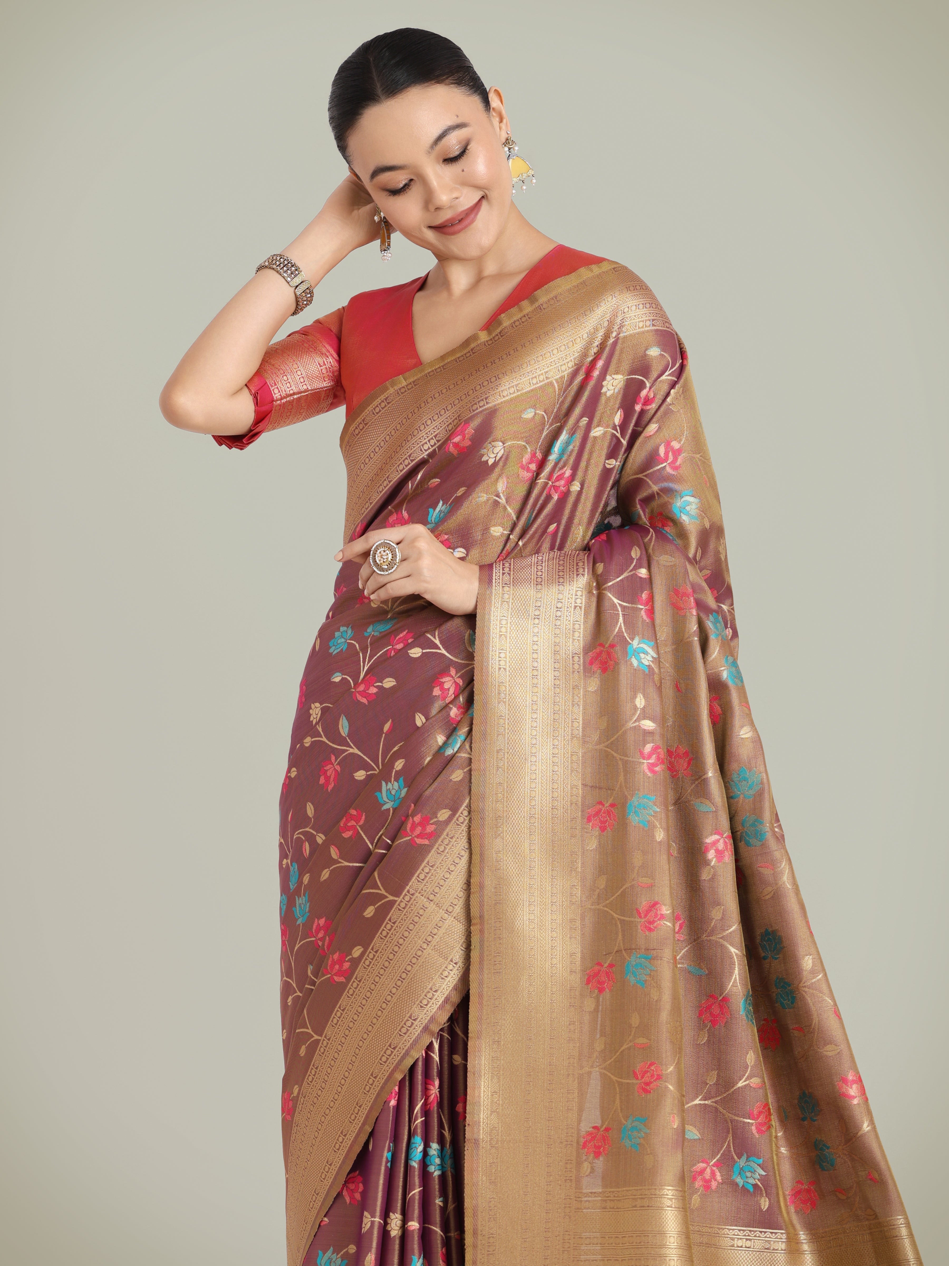 Light Brown Banarasi Tissue silk Exquisite Designs Saree