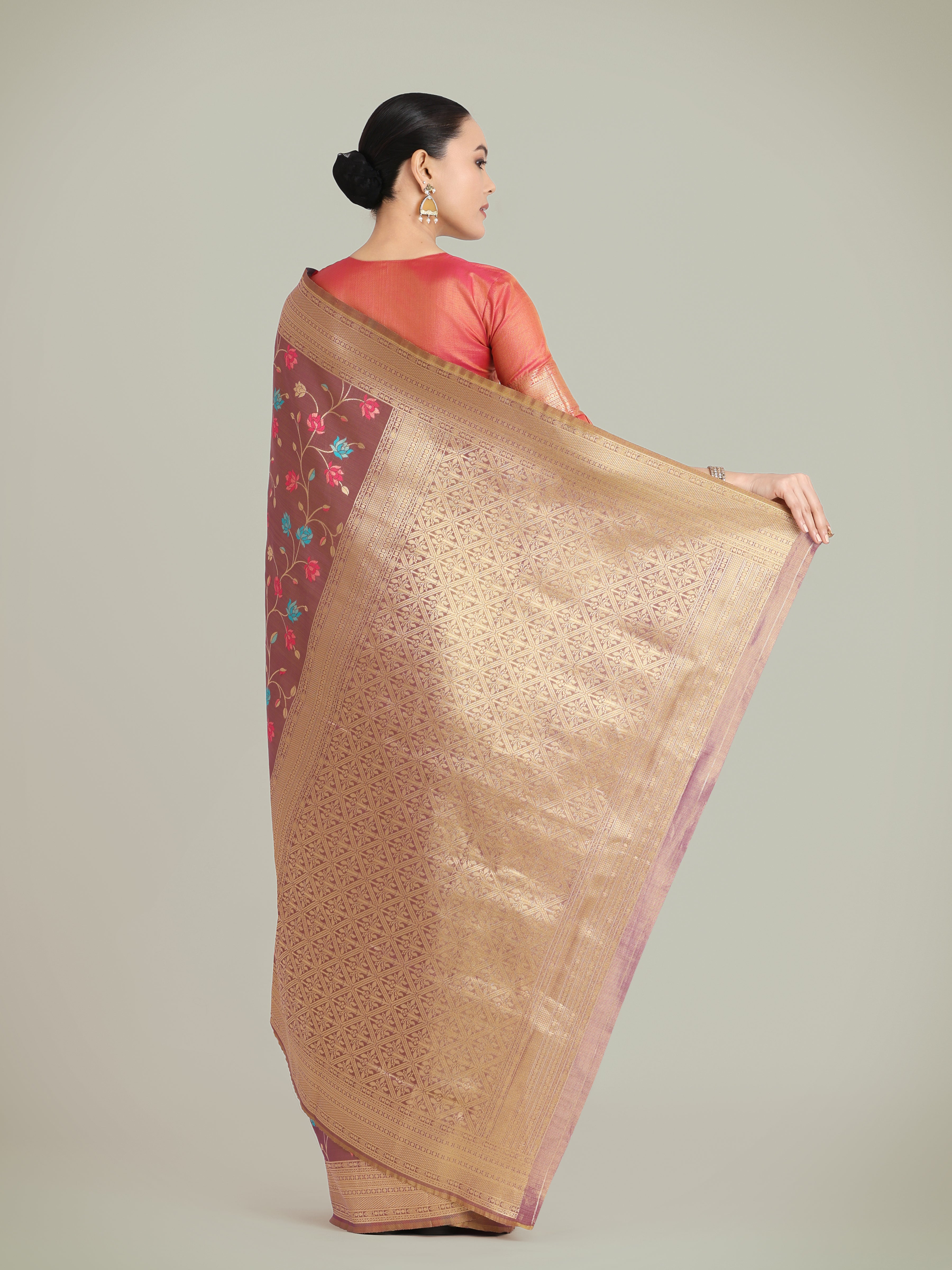 Light Brown Banarasi Tissue silk Exquisite Designs Saree